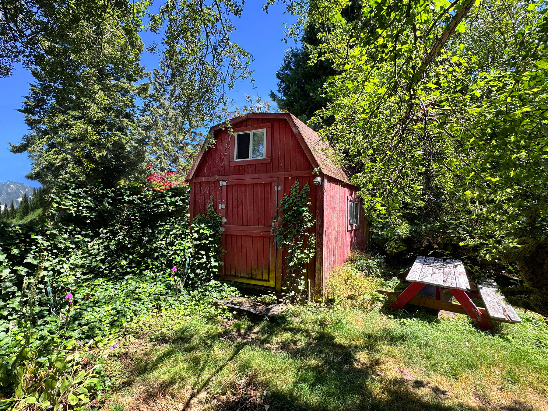 The shed where my studio is in Seattle - Paul Clark