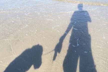 Shadows On The Beach